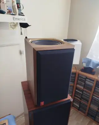 Bonsai Akustik Ideal