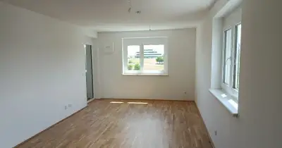 Malování bytů, strojové čištění odpadů