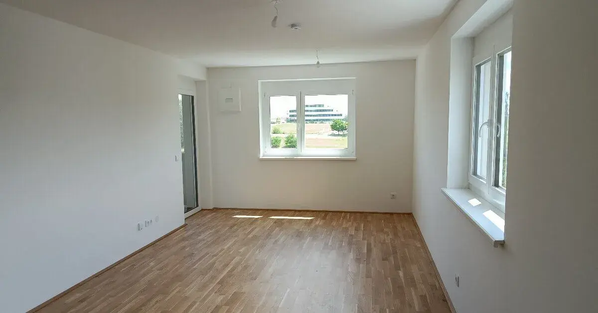 Malování bytů, strojové čištění odpadů