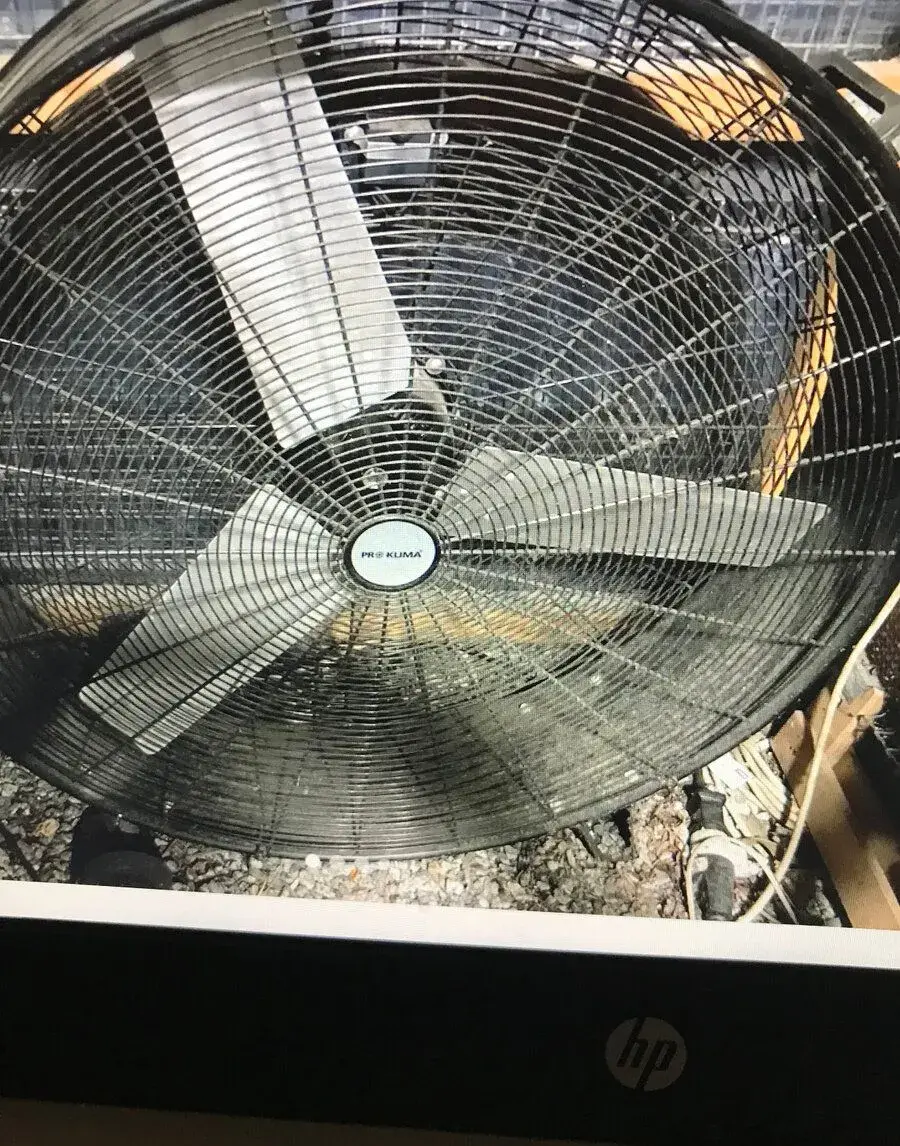 ventilator proklima
