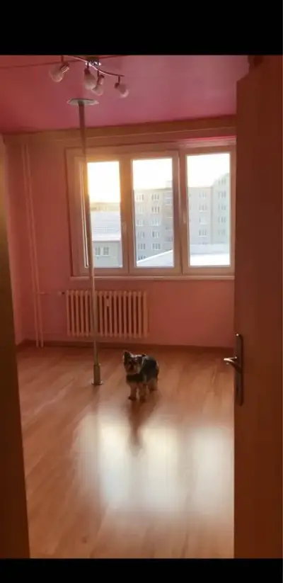 Tyč na pole dance