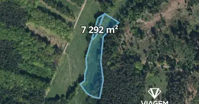 Pole 7 292 m², Podíl 58 % o výměře 4 317 m²