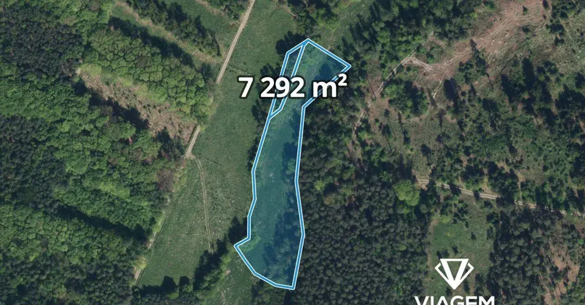 Pole 7 292 m², Podíl 58 % o výměře 4 317 m²