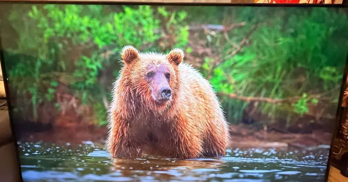 LG 65" 4K Smart TV LG65UR781C0LK