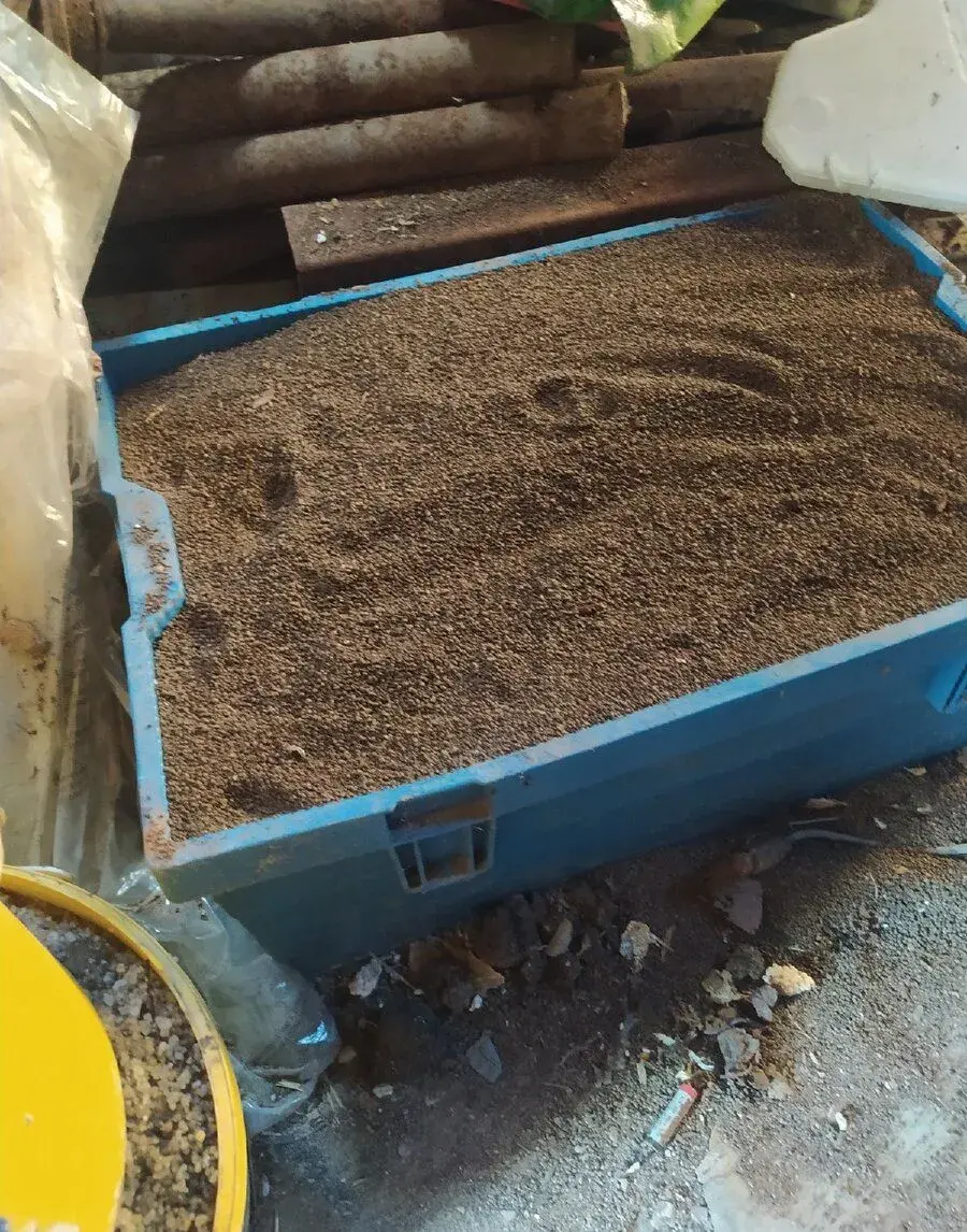 VÝHODNĚ PÍSEK DO AKVÁRIA