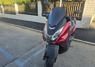 Maximum Caesar 125 r.v. 2019