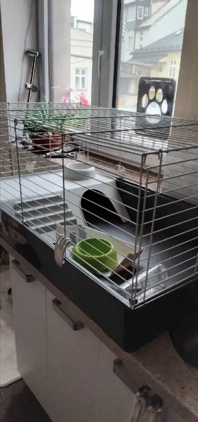 Klec pro morče