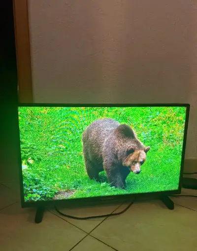 Televize Gogen 32" 80 cm, DVBT2