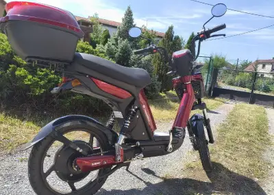 Moped INSPORTLINE