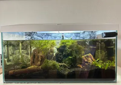 Akvarijní set komplet zaběhnuté akvárko 60l