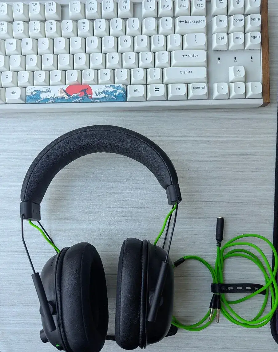 Razer Blackshark v2