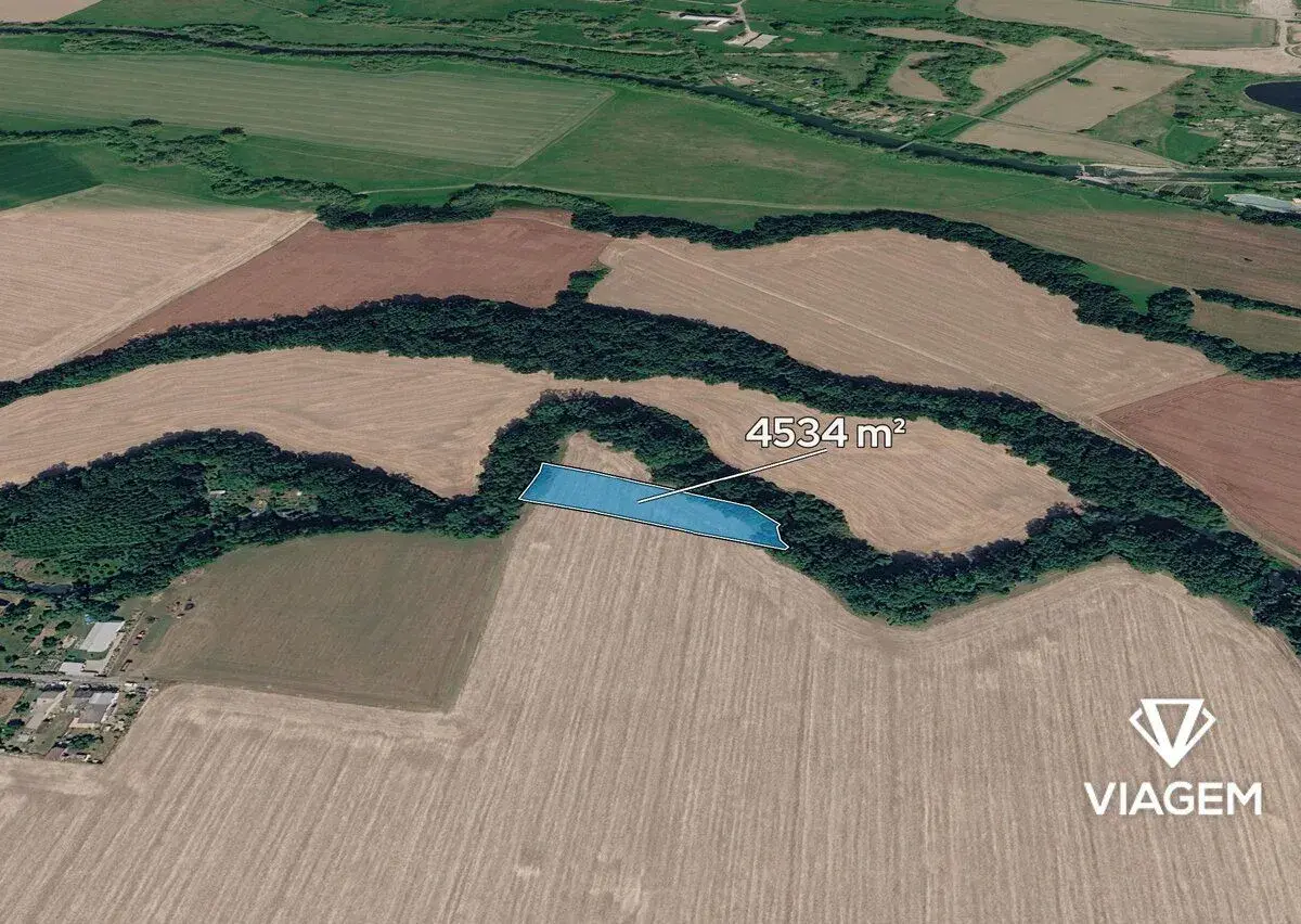 Pole 4 534 m², Podíl 10 % o výměře 453 m²