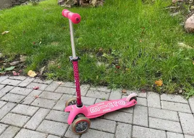 Mini Micro Deluxe Pink