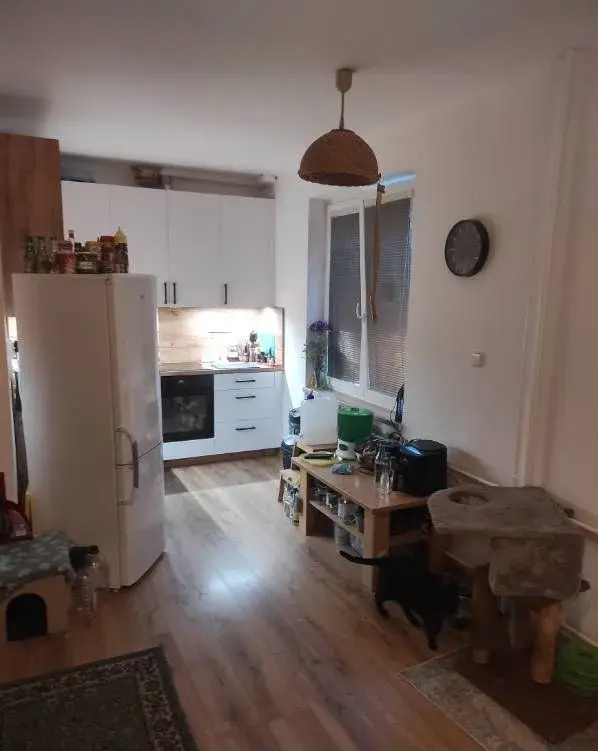 Pronájem bytu 3+kk, 64 m², Opava – Olomoucká, bez RK