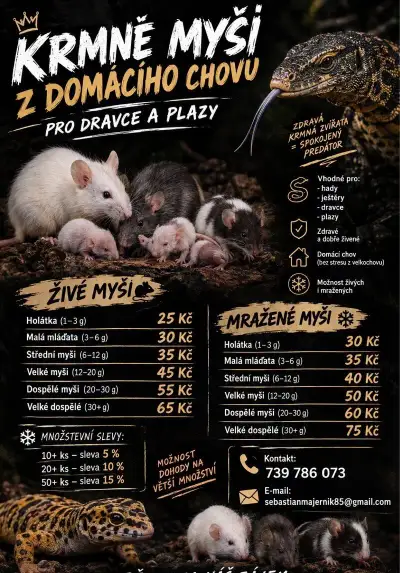 🐭 Krmné myši z domácího chovu