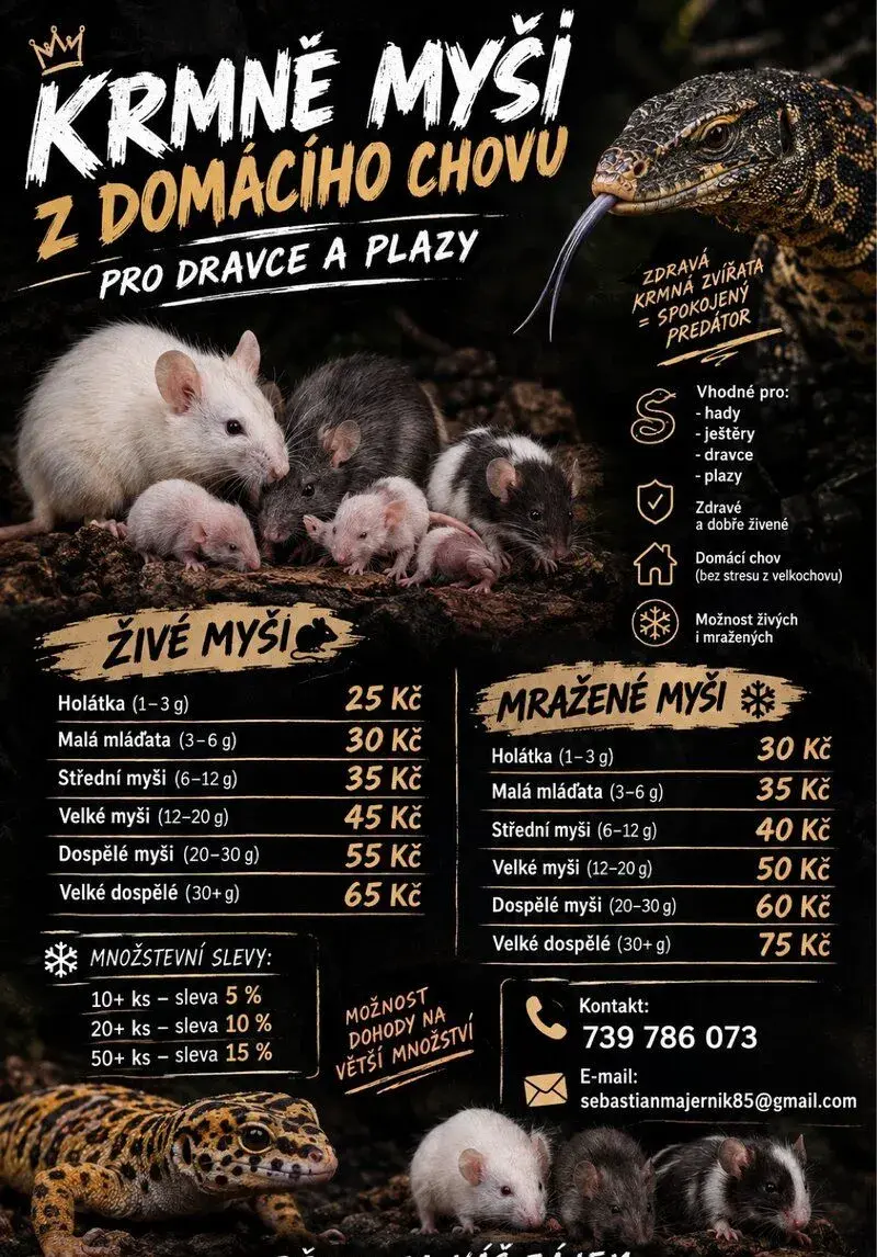 🐭 Krmné myši z domácího chovu