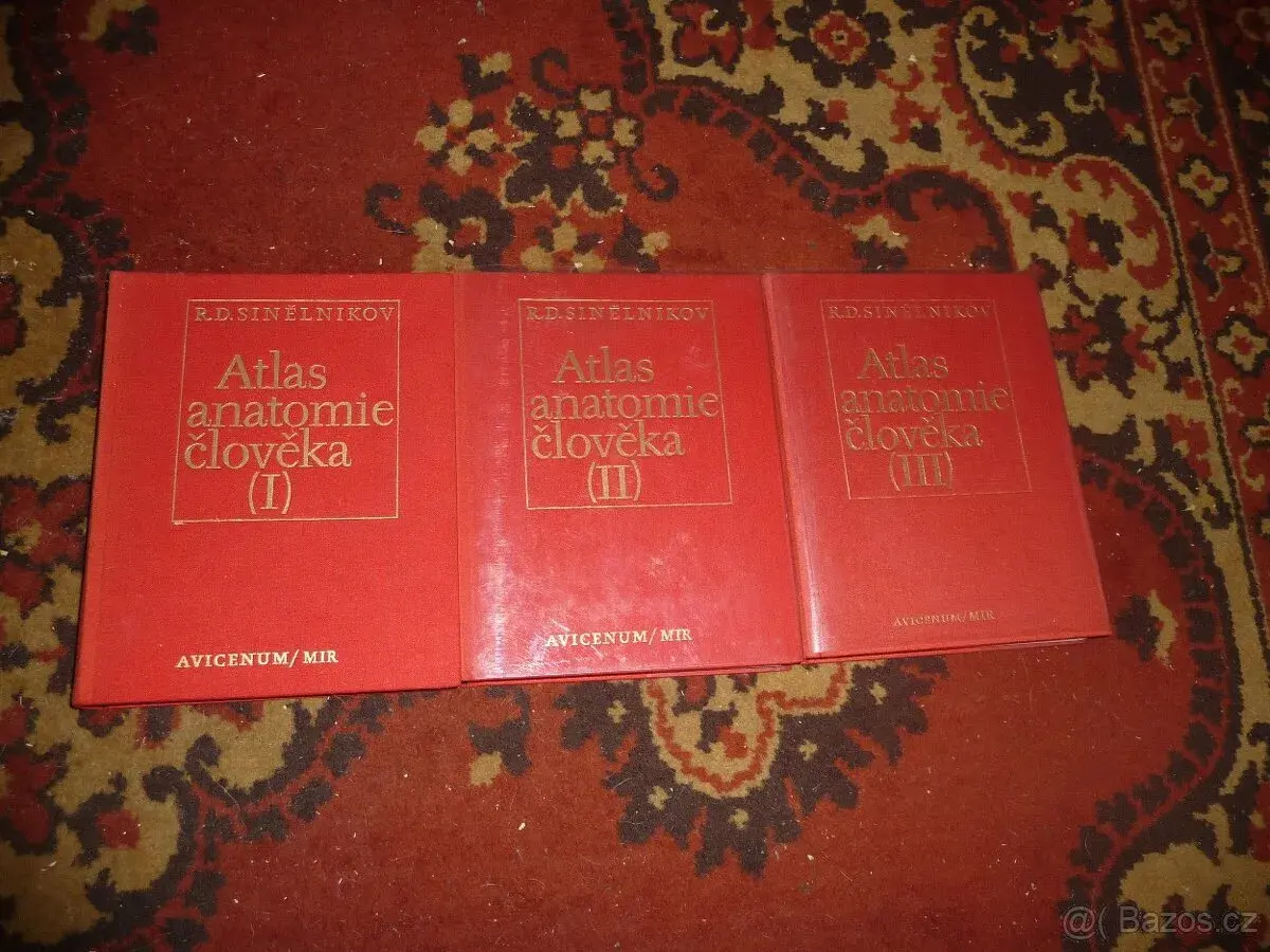 Anatomie člověka