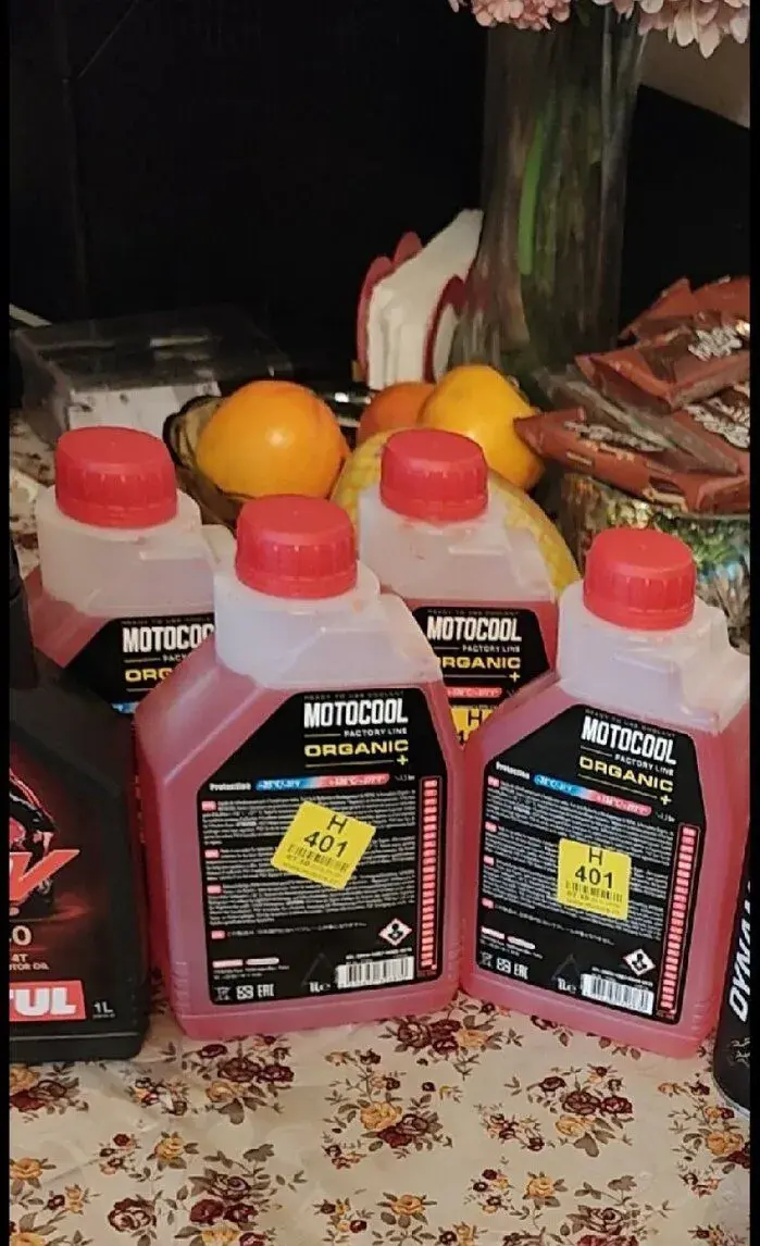 Motul