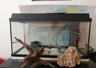 Akvárium 110 l.
