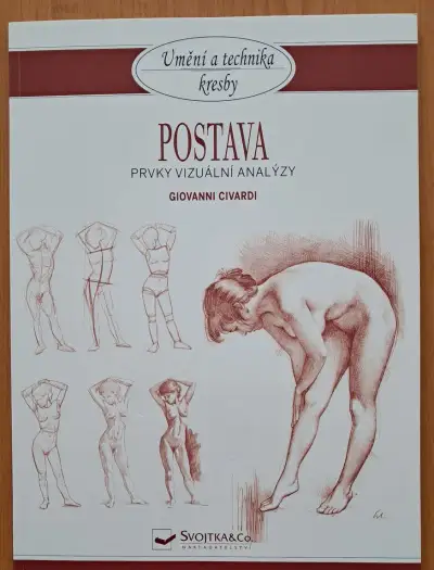 Umění a technika kresby - Postava, Prvky vizuální analýzy