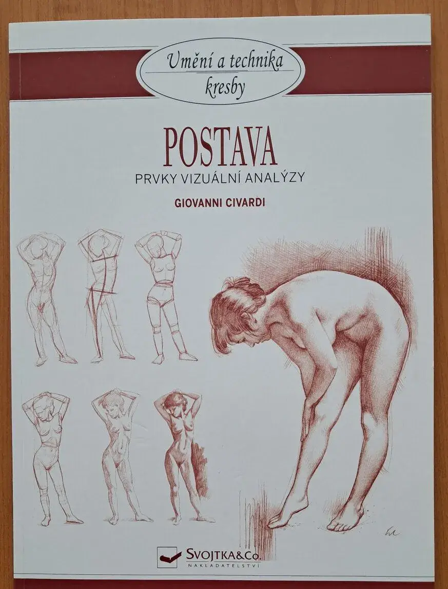 Umění a technika kresby - Postava, Prvky vizuální analýzy