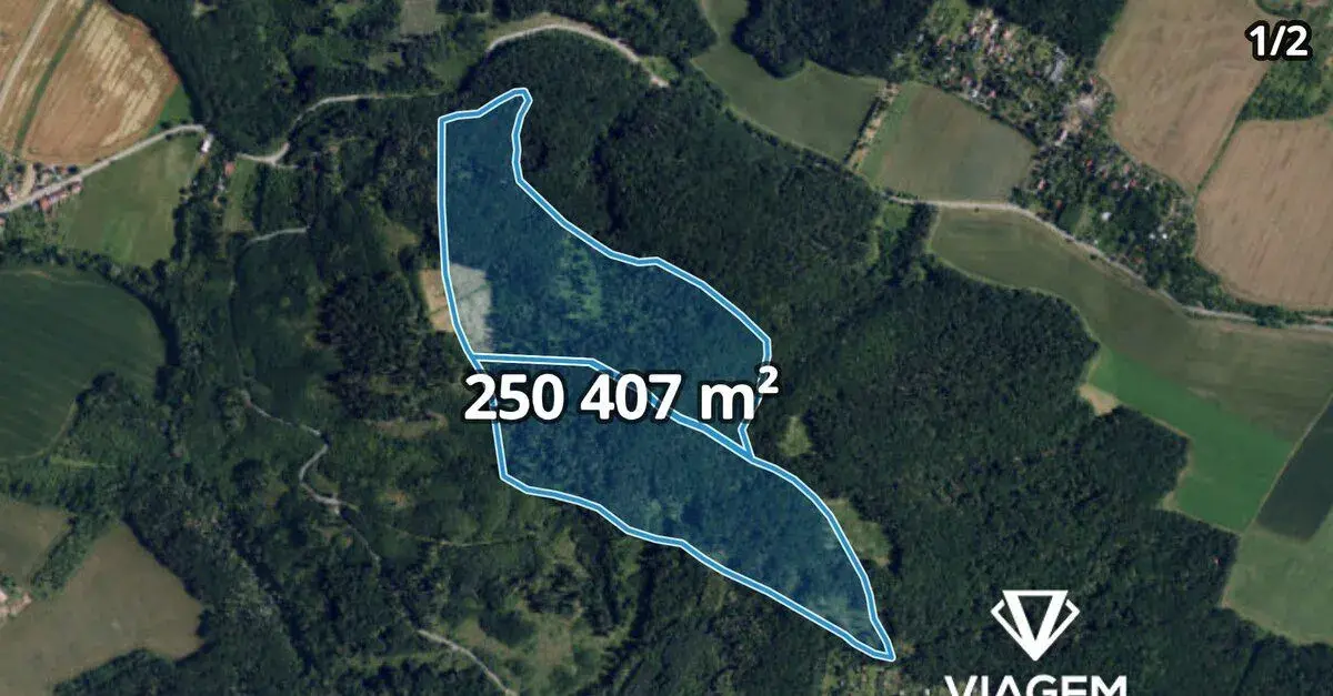 Les 659 064 m², Podíl 4 % o výměře 29 065 m²