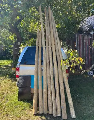 Balsová kulatina délka 3,5 m