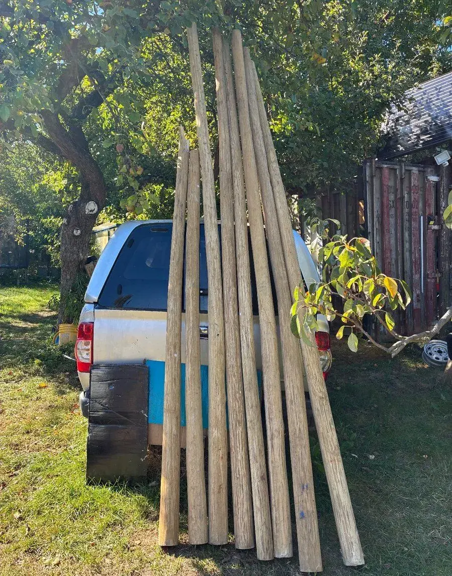 Balsová kulatina délka 3,5 m