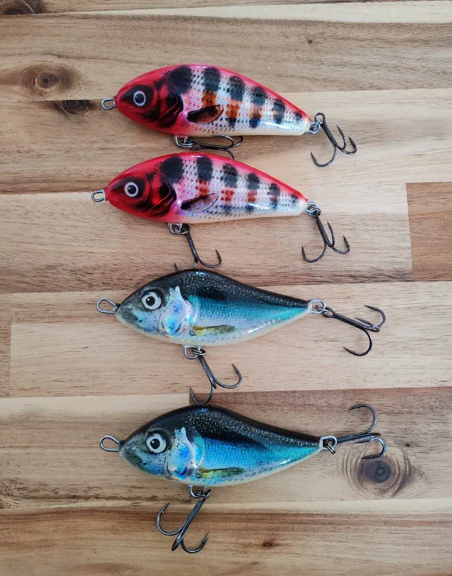 Woblery salmo jerky