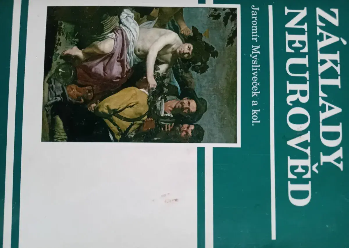 Základy neurověd Mysliveček
