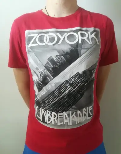 Pánská trička vel. M, L, XL (více kusů v inzerátu)