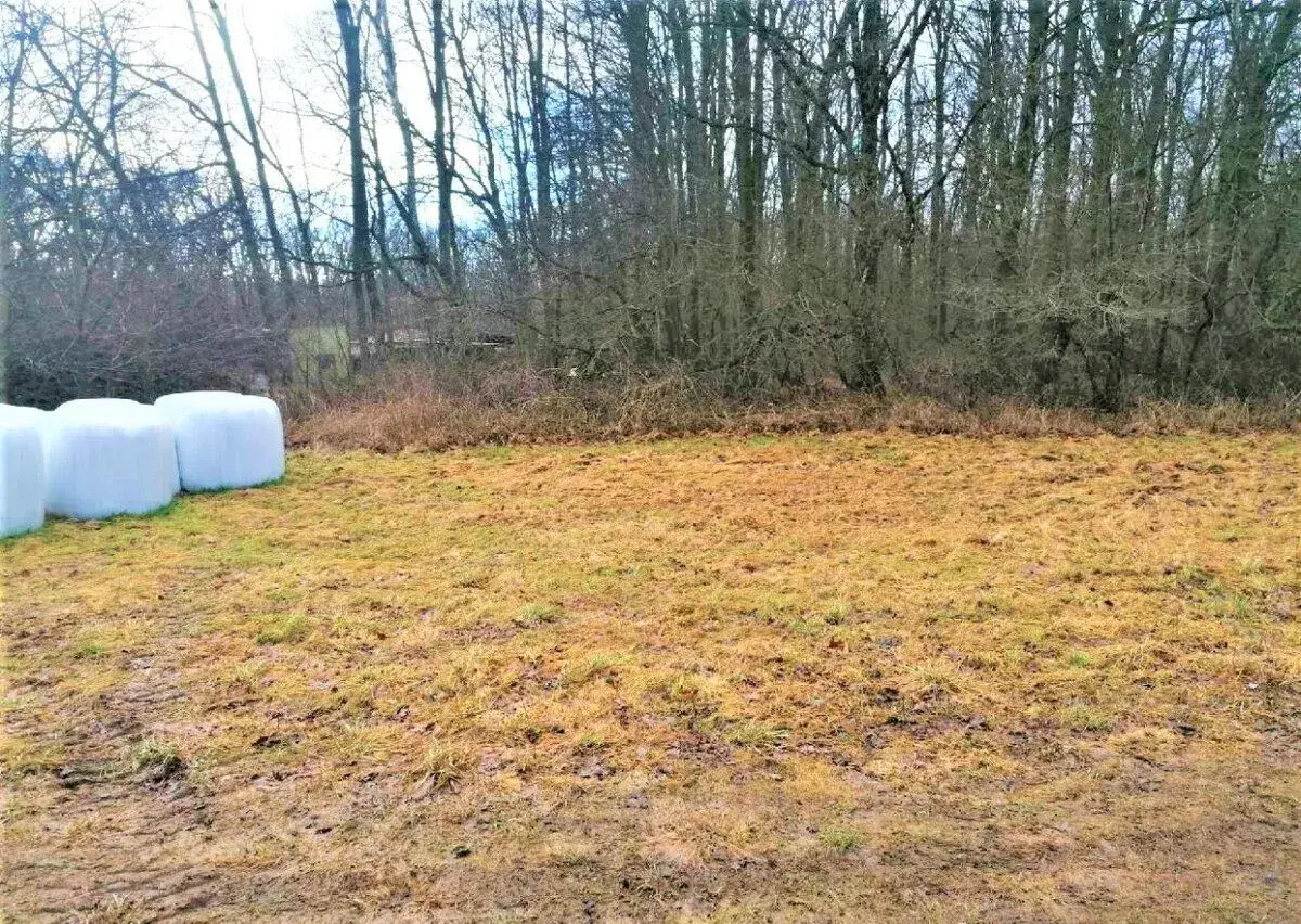Pronájem pozemku k rekreaci u Labe