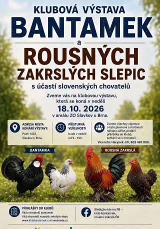 Klubová výstava Bantamek a Rousné zakrslé slepice