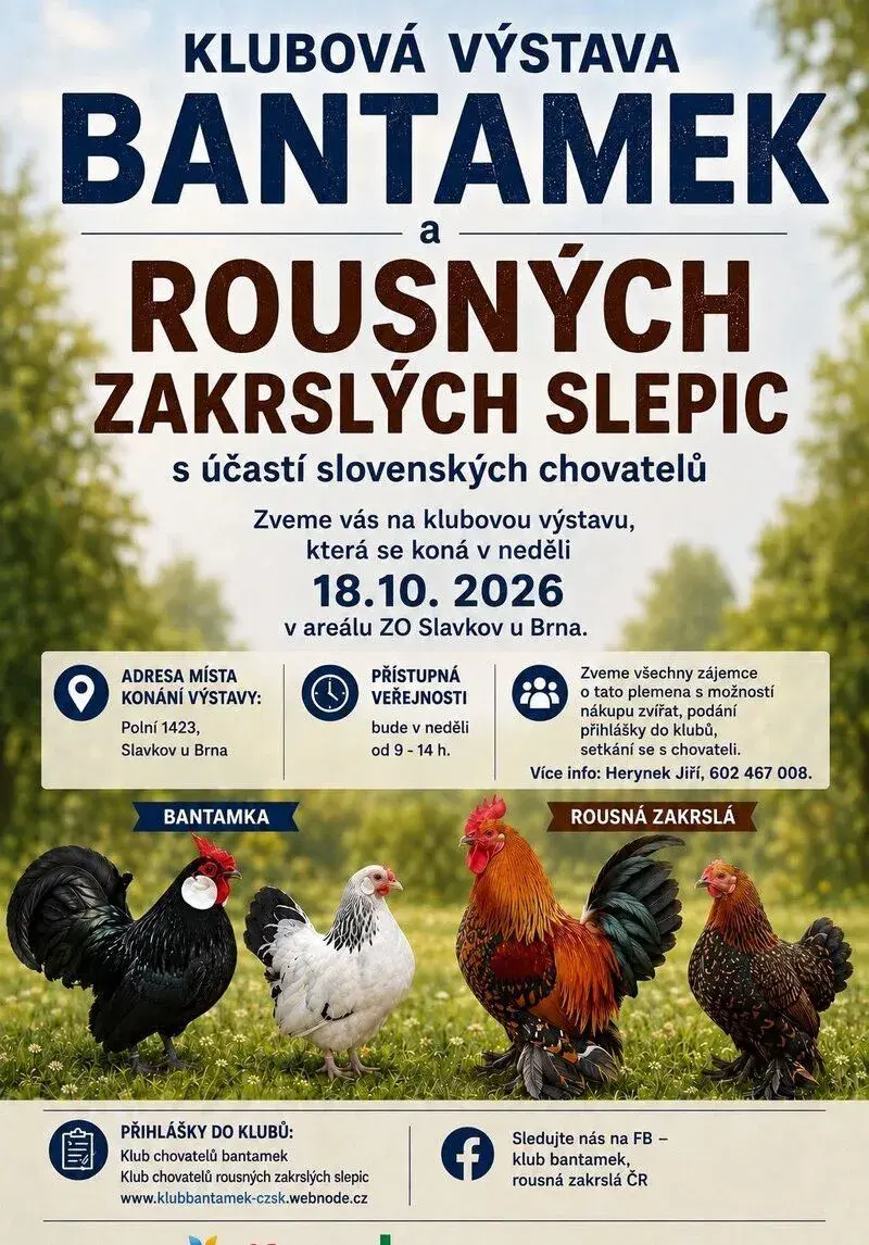Klubová výstava Bantamek a Rousné zakrslé slepice