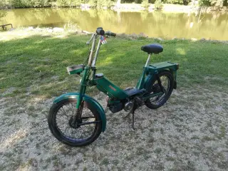 Babetta 207