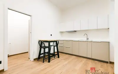 Pronájem, byty/1+kk, 28 m2, Bratislavská 215/31, 60200 Brno,