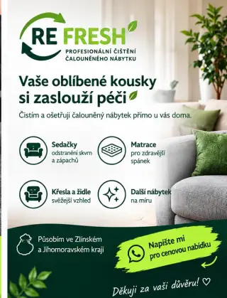 Profesionální čištění čalouněného nábytku