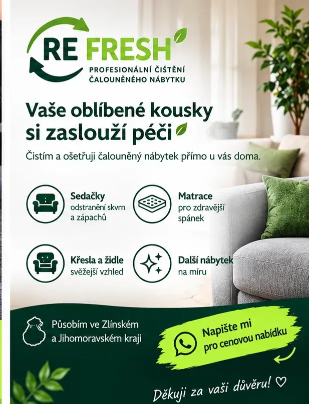 Profesionální čištění čalouněného nábytku