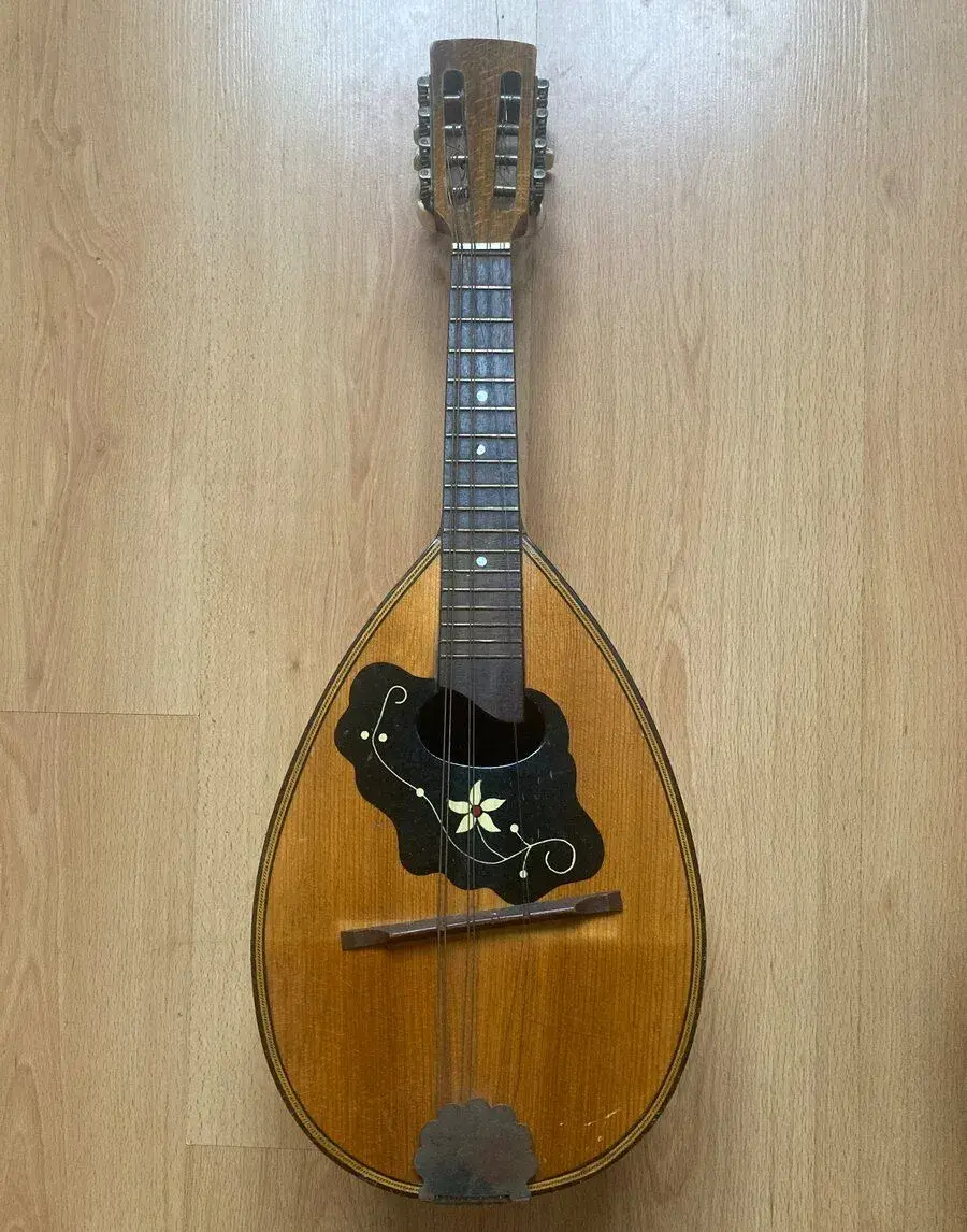 Mandolína