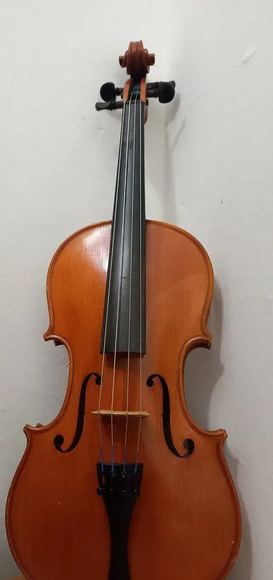 Viola 39.cm