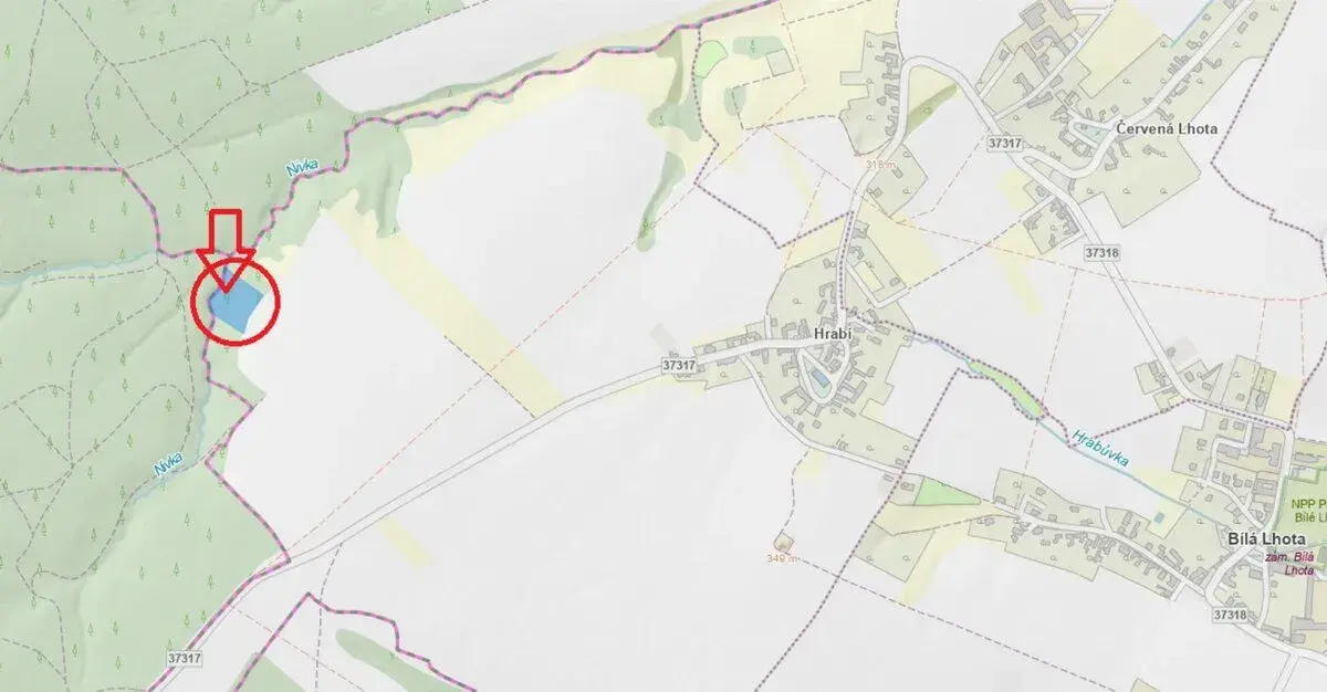 Prodej lesního pozemku k.ú. Hrabí