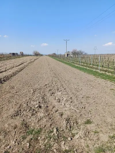 Pronájem pole v Lanžhotě