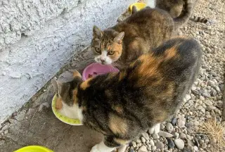 Mamina a Mičinka se bojí zimy