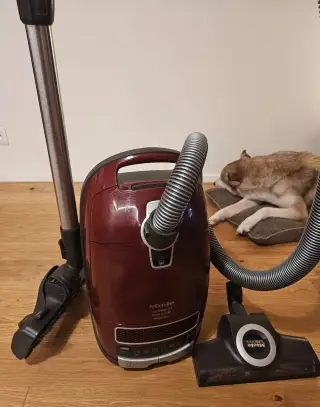 Miele Complete C3 cat&dog Powerline
