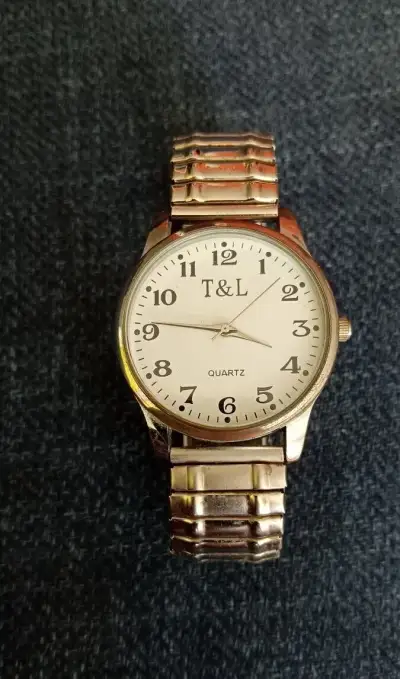 Náramkové hodinky T&L Quartz – stříbrná barva -