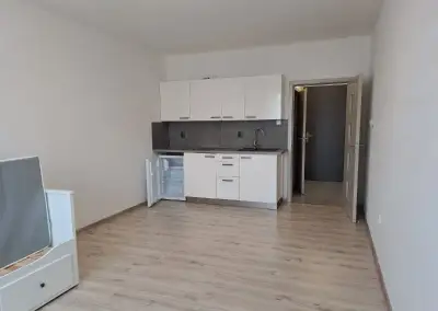 Pronájem bytu 1kk v Bohuňovicích