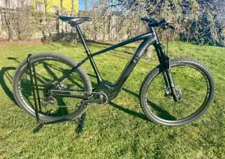 Specialized Turbo Levo Hardtail 2020, L