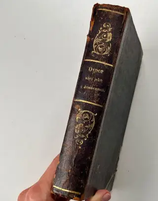 Hanna Dumková Ovoce, kuchařka 1883