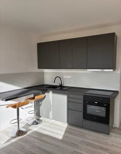 Pronajem bytu 1+1 s balkonem Jans Koziny TP