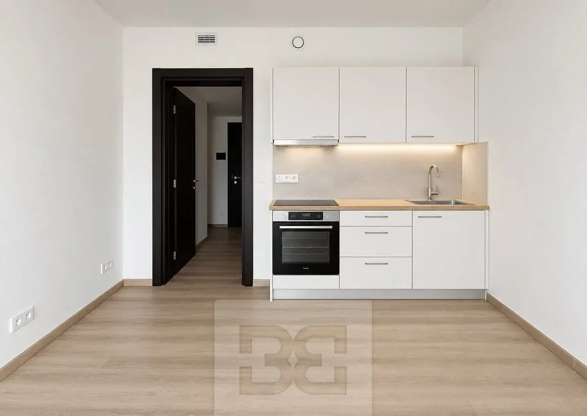 Pronájem bytu 1+kk 35 m², Olomouc - Nová Ulice, ev.č. N09837
